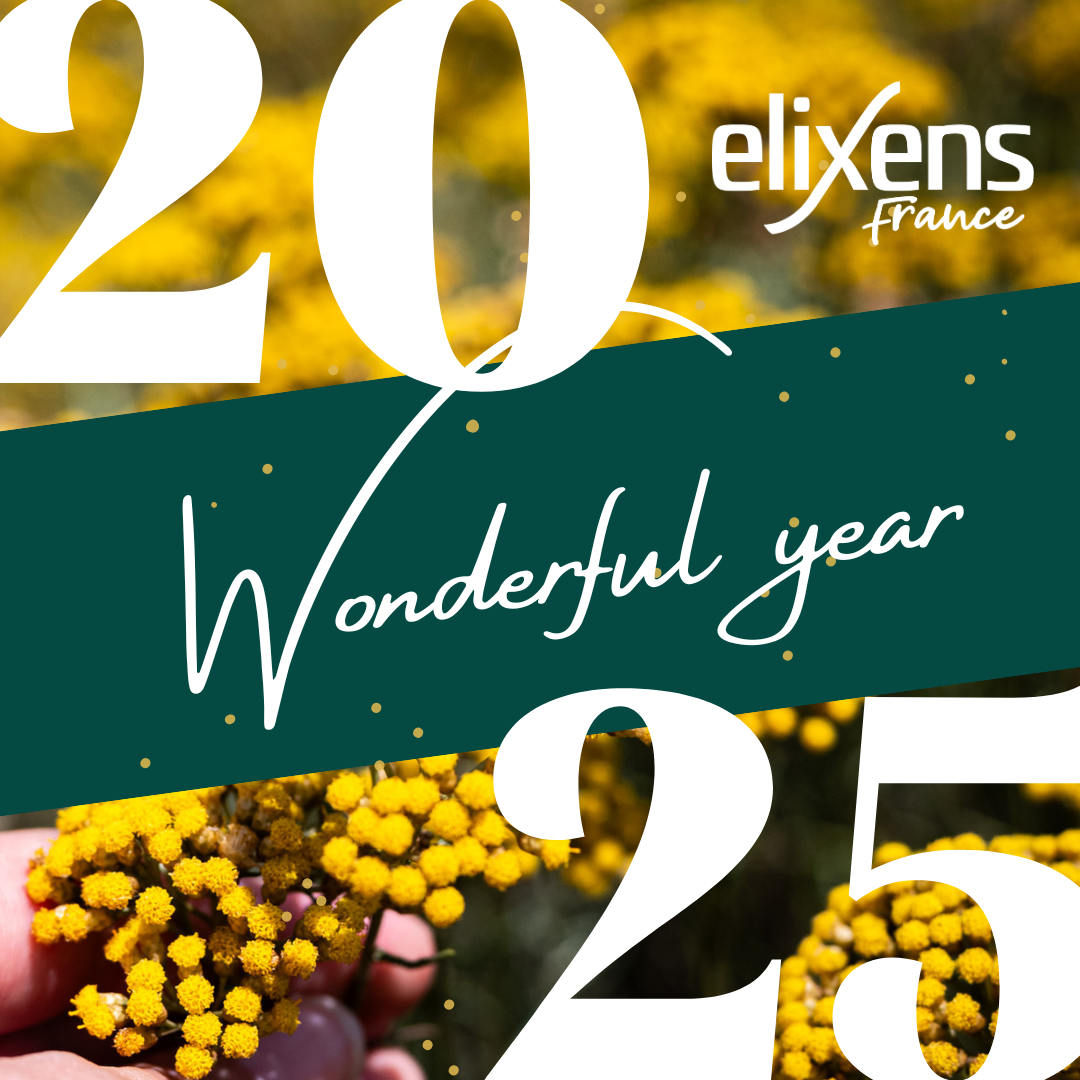 Wishes 2025