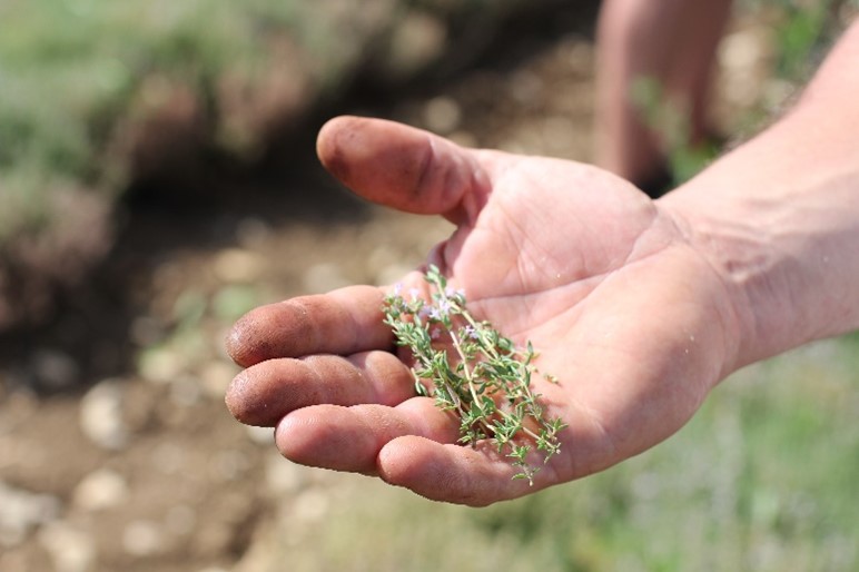 Objectifs environnementaux Elixens