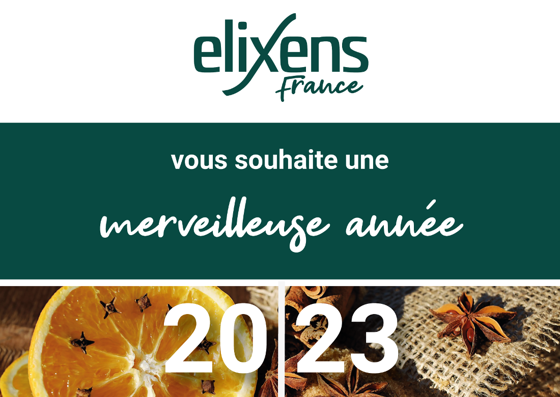 Bonne année 2023 Bonne année 2023