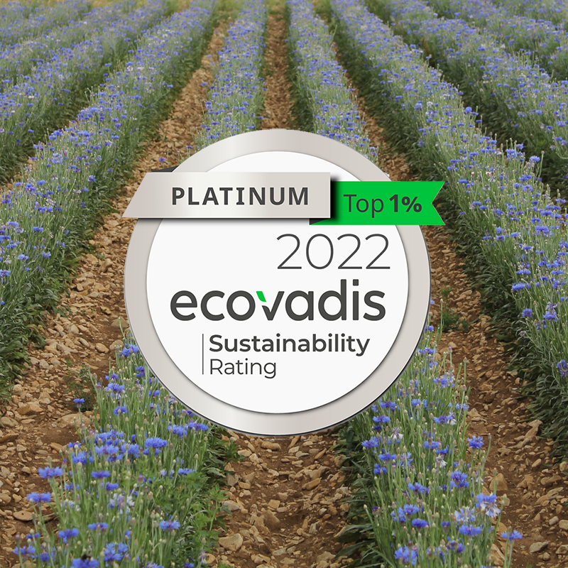 Diplome Ecovadis