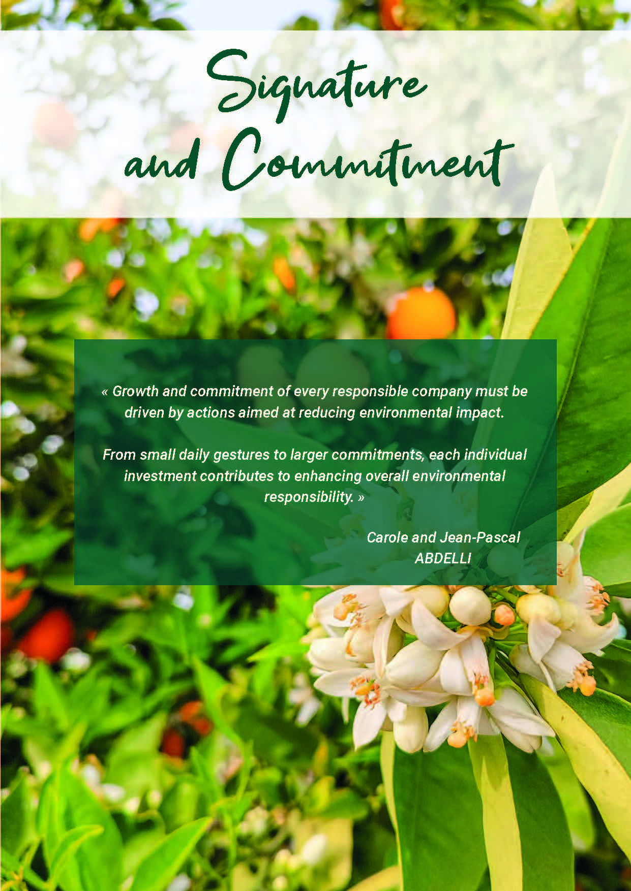 Signature and commitment